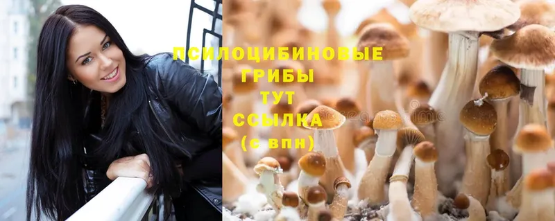 Галлюциногенные грибы MAGIC MUSHROOMS  Городец 